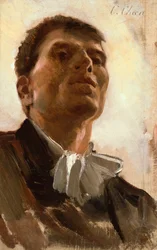Testa di un giovane