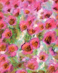 Fiori rosa da sogno