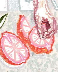 Frutta agrumata e rosa