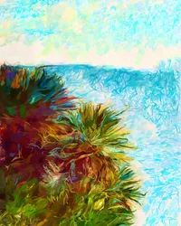 Palme costiere dai colori vivaci