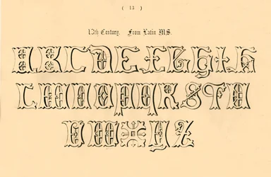 XIII secolo. Da manoscritto latino, 1862