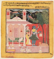 Una signora che coglie fiori con pavoni, Gunakali Ragini di Malkos, dal Chawand Ragamala, 1605