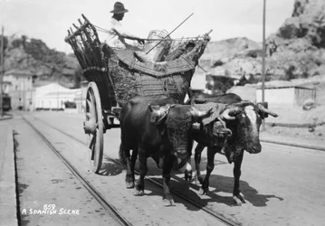 Una scena spagnola, XX secolo