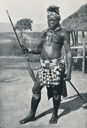 Un capo Zulu, 1902