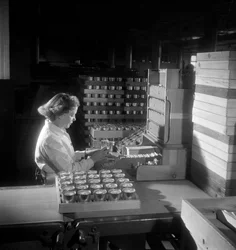 Una lavoratrice confeziona scatole di sigarette, Londra 1950