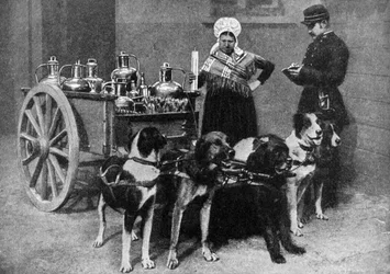 Una lattaia con un ispettore governativo, Belgio, 1922