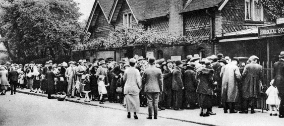 Una coda per lo zoo in un giorno di festa nazionale, Londra, 1926-1927