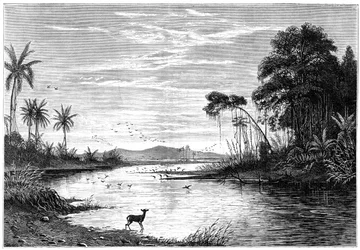 Scena fluviale in Venezuela, 1877