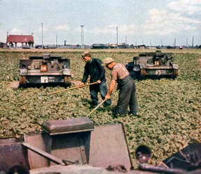 Carri armati francesi abbandonati in un campo, Dunkerque, Francia, 1940