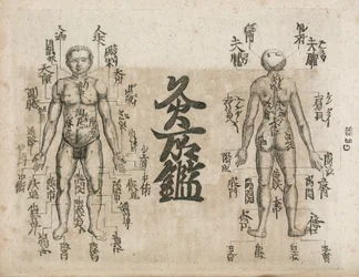 Mappa del corpo umano per l