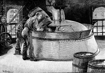 Aggiunta di luppolo alla birra bollente in un birrificio americano, 1885