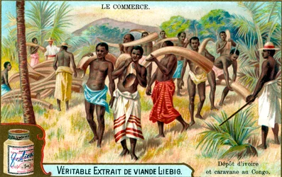 Pubblicità per estratto di carne Liebig, francese