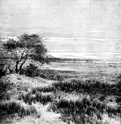 Valle di Agha, Pampa Centrale, Argentina, 1895