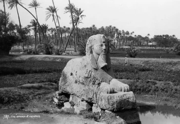Sfinge di alabastro a Menfi, Egitto, c. 1920-1930
