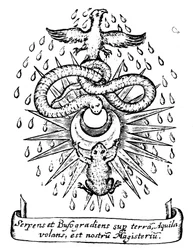 Simbolismo alchemico