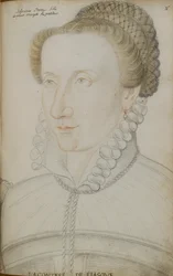 Alfonsina Strozzi
