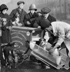 Ambulanza del Dispensario per Animali Malati dei Poveri, Londra, 1926-1927