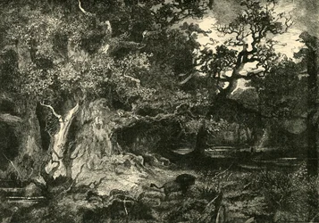Una vecchia foresta tedesca, 1890