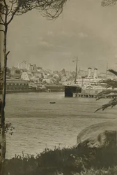 Un transatlantico Orient ormeggiato nella baia di Woolloomooloo, 1937