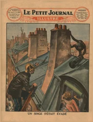Uno scimpanzé fuggito, 1930