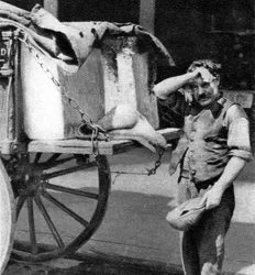 Un uomo del ghiaccio con il suo carretto, Londra