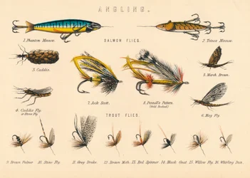 Pesca, XX secolo