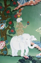 Racconto di amicizia tra animali