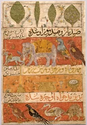 Animali, uccelli e piante verso, illustrazione e versi persiani..., 1341