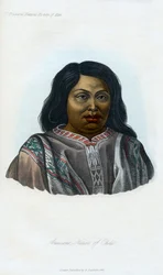 Araucano, nativo del Cile