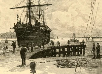 Arrivo di un piroscafo ai moli di Southampton