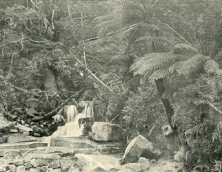 Al pozzo di San Crispino, 1901