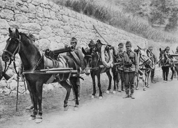 Soldati austriaci, guerra austro-italiana, Battaglia dell