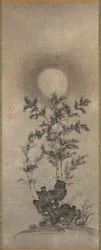 Bambù al chiaro di luna