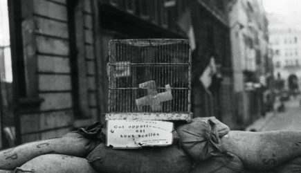 Barricata sulla Rue de Chateaudun, liberazione di Parigi, agosto 1944