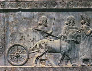 Bassorilievo, arte persiana, VI secolo