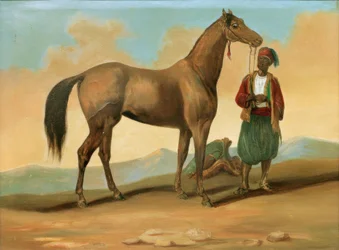 Beduino con cavallo arabo