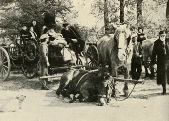 Rifugiati belgi sulla strada, 1939-1940, 1941