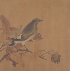 Uccello su ramo