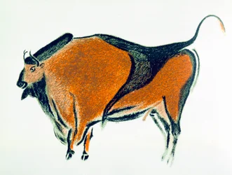 Bisonte, copia di un dipinto rupestre paleolitico ad Altamira, Spagna settentrionale, 1913