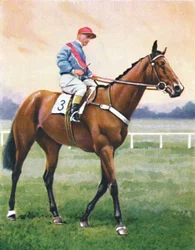 Libraio, fantino: G. Richards, 1939