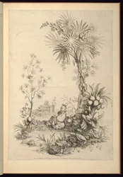 Stampa rilegata