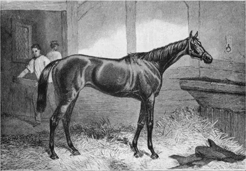 Duchessa Marrone, XIX secolo, 1911