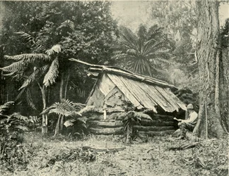 Capanna nel bush, Dandenong Ranges, Victoria, 1901