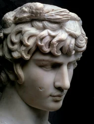 Busto di Antinoo, metà del II secolo d.C.