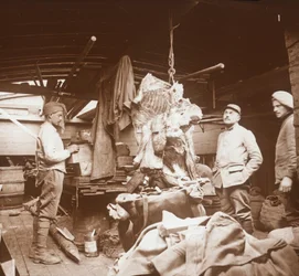 Macellai su una chiatta, Somme, Francia settentrionale, c1914-c1918