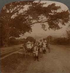 Carrozze trainate da nativi su una strada residenziale, Durban, Sudafrica