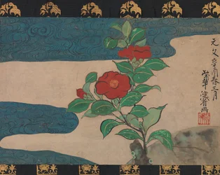 Camelia sull