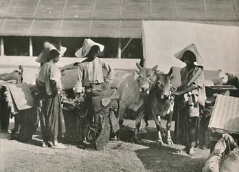 Scena di carovana con Shans a Bhamo, 1900