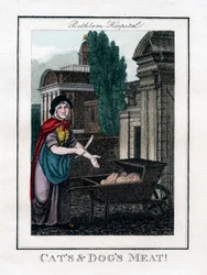 Carne di gatti e cani!, Bethlem Hospital, Londra, 1805