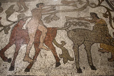 Mosaico della navata centrale sul pavimento del duomo di Otranto: cavalieri, Otranto, Italia